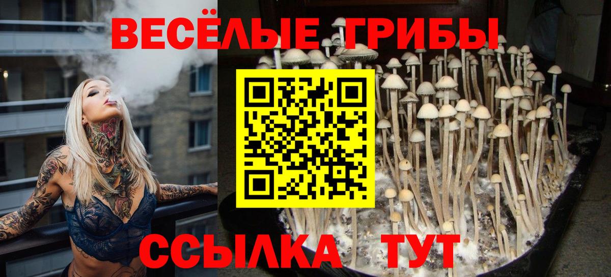 Галлюциногенные грибы GOLDEN TEACHER Бийск