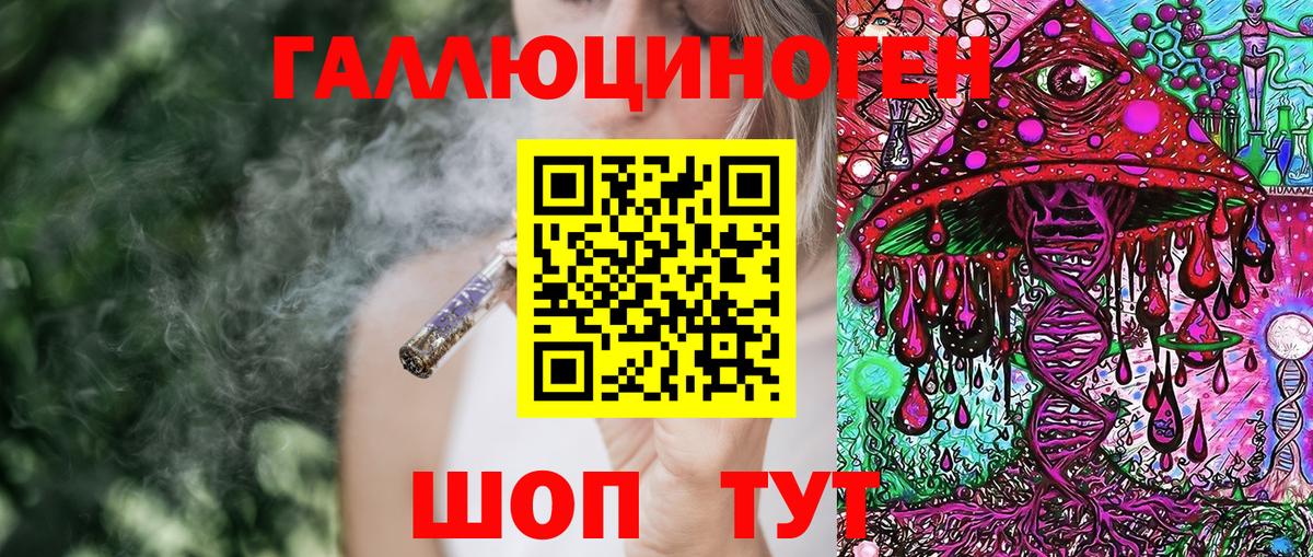 Псилоцибиновые грибы Psilocybine cubensis  Вход с VPN  Галлюциногенные грибы прущие грибы  Бийск 